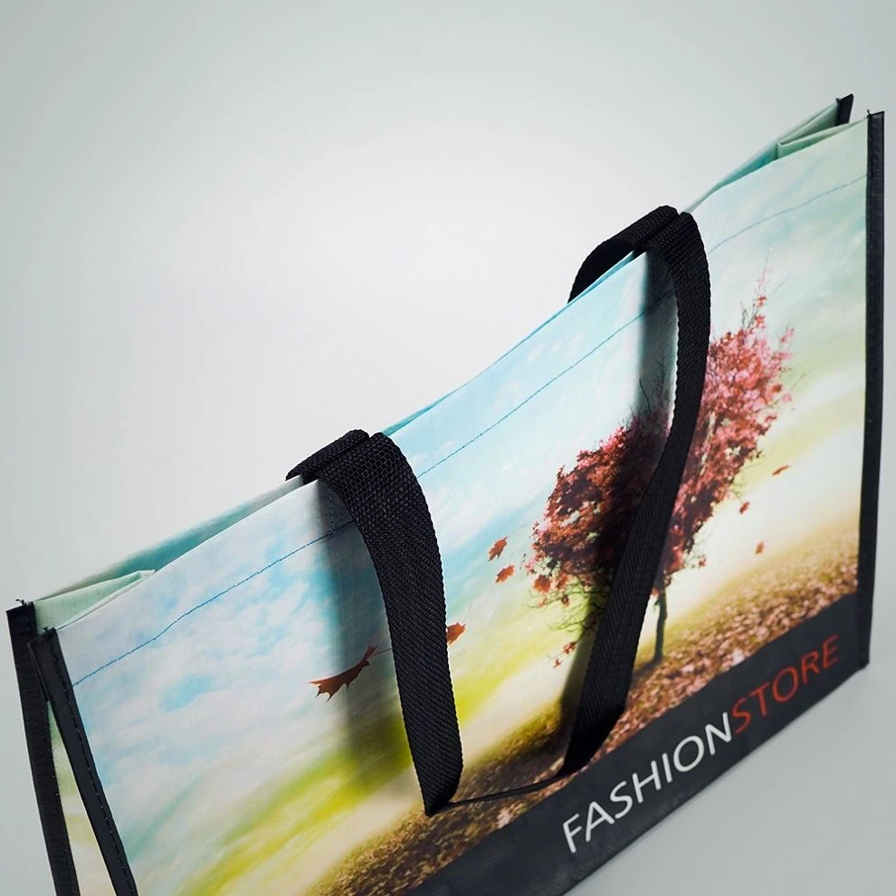 pp woven foldable shopper bag